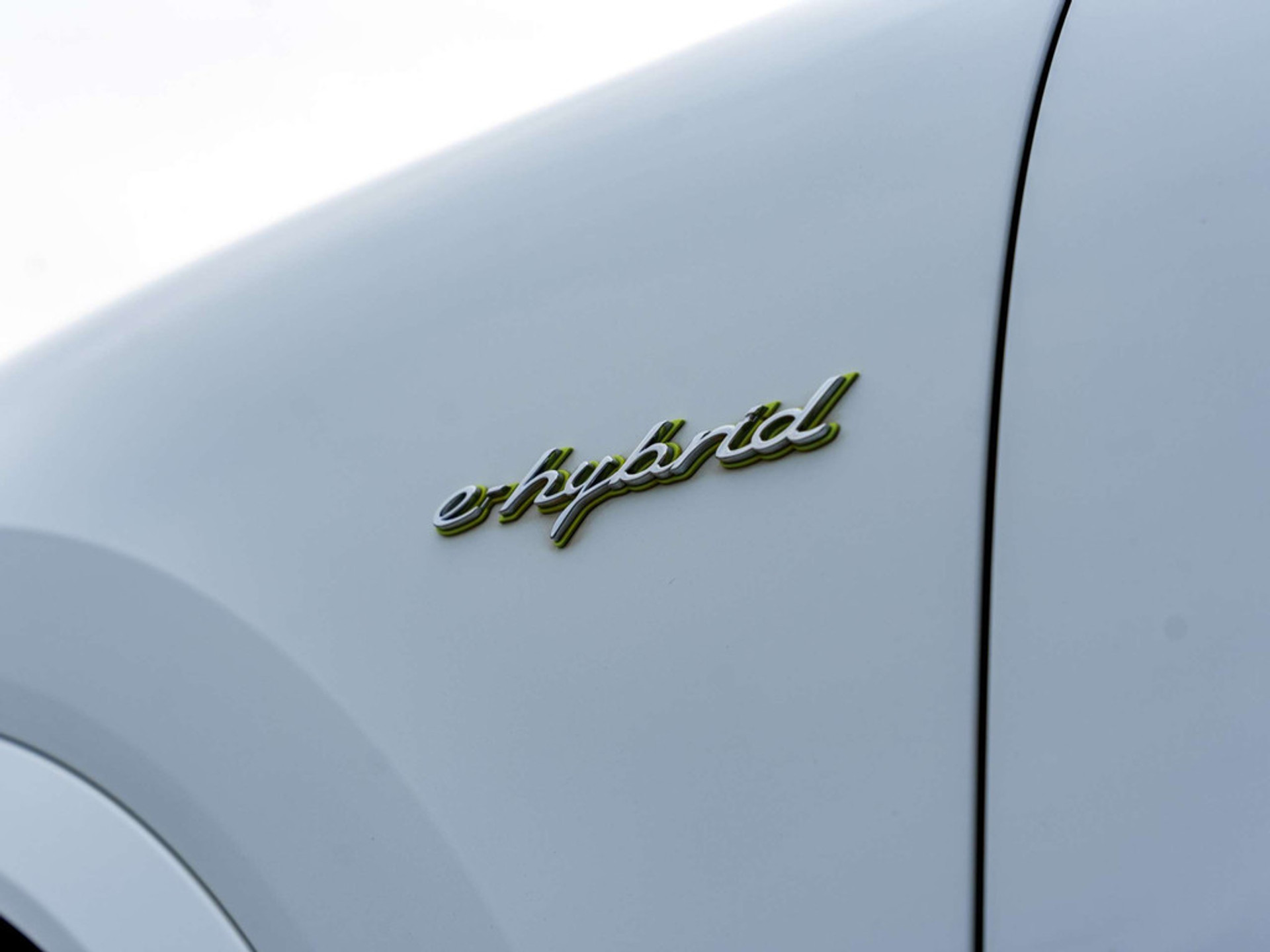 47887980-7.jpg