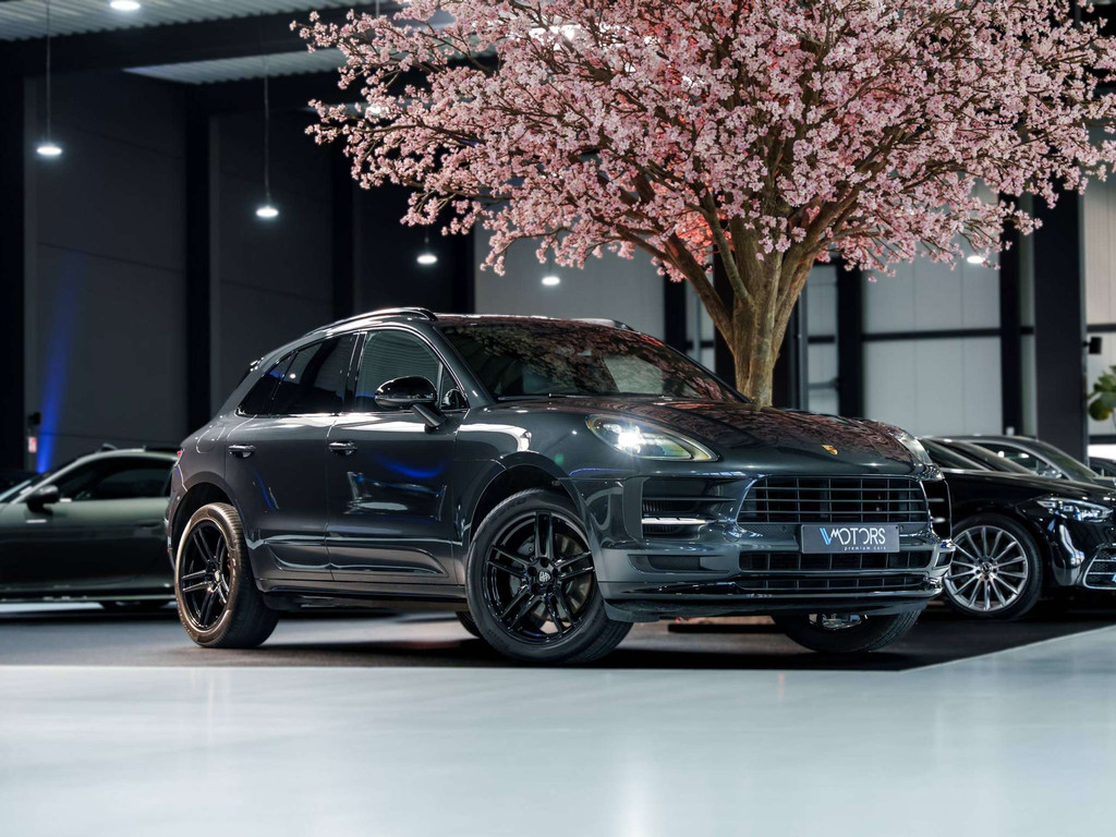 56684053
